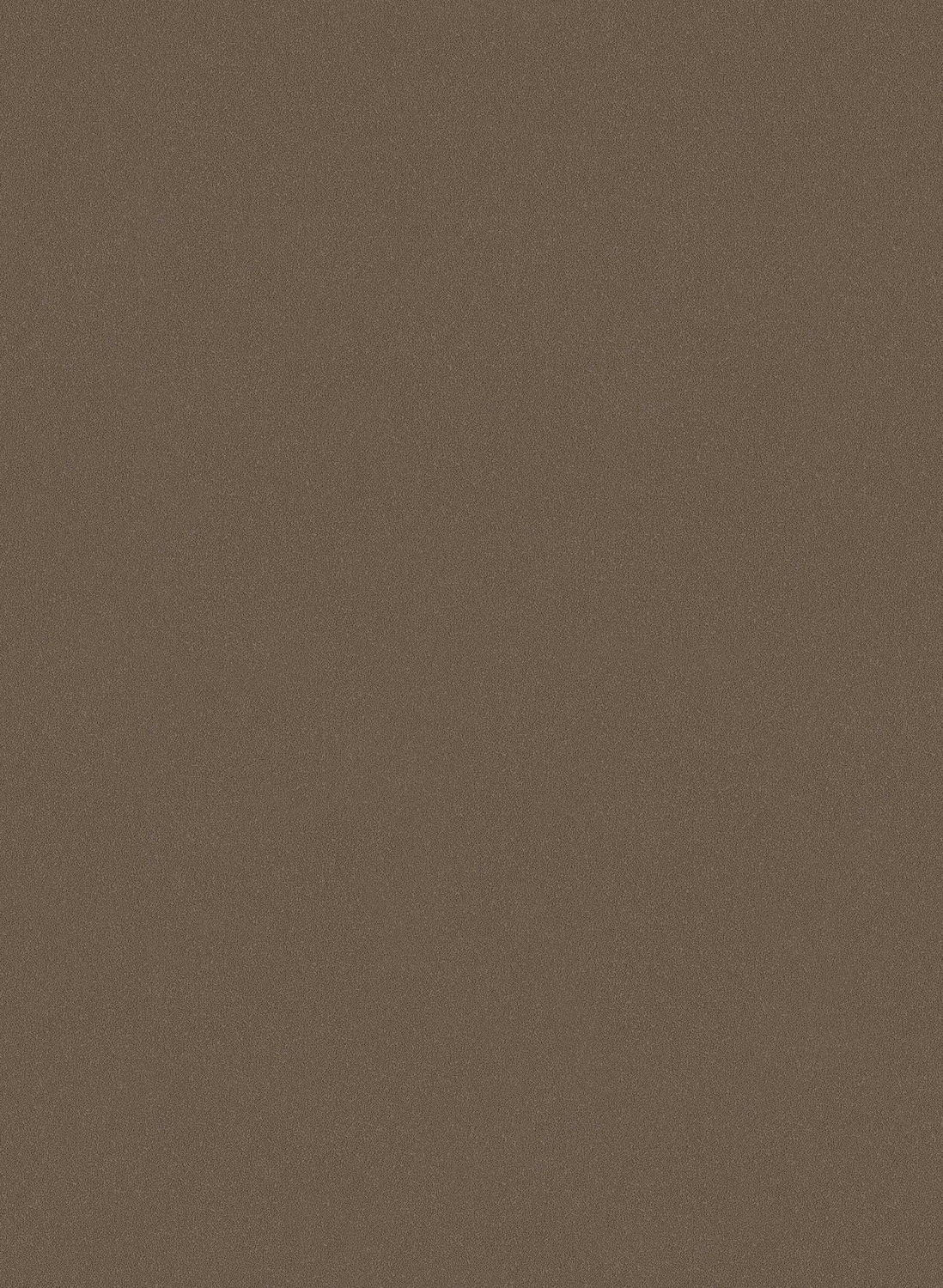 Carta da parati Sand - Earth