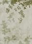 17589_01_Jannelli_and_Volpi_Domme_41260-154742
