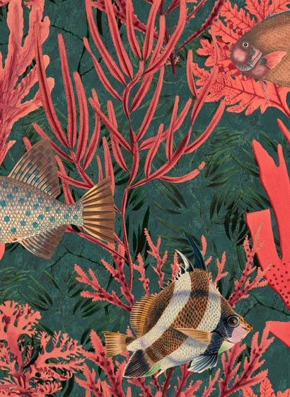 Tapete The Undersea - Coral