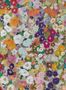7445_01_House_of_Hackney_Hollyhocks_Spring_1-WA-HOL-DI-SPR-XXX-67988
