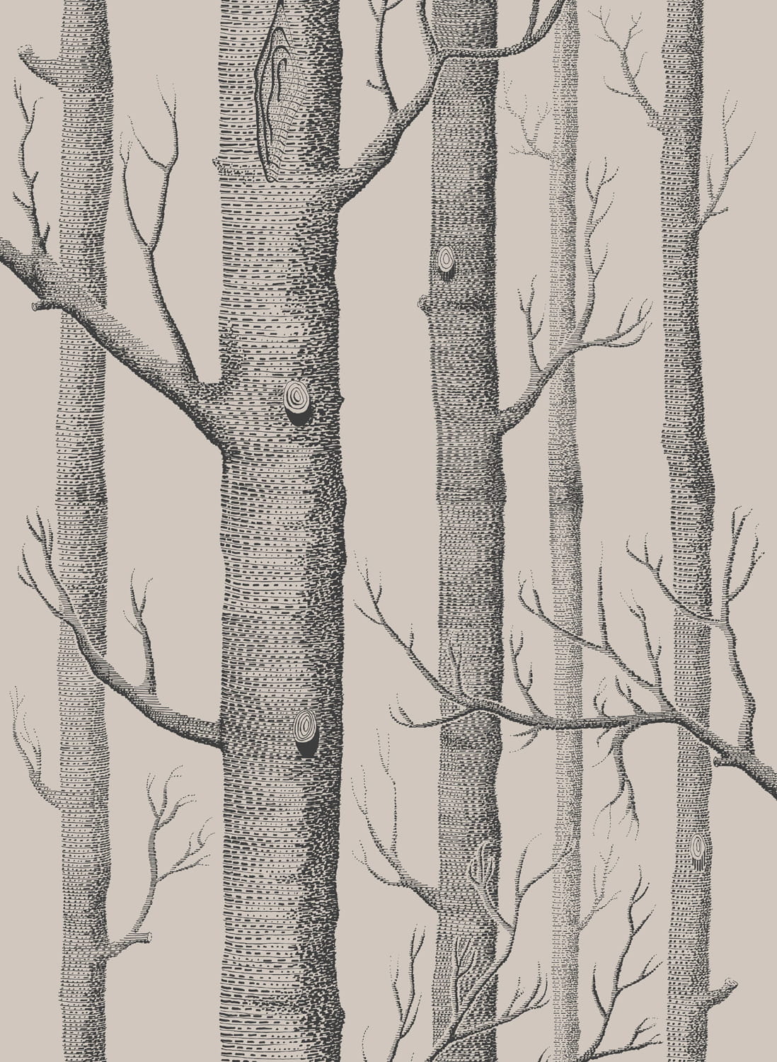 Tapete Woods - Linen/ Charcoal