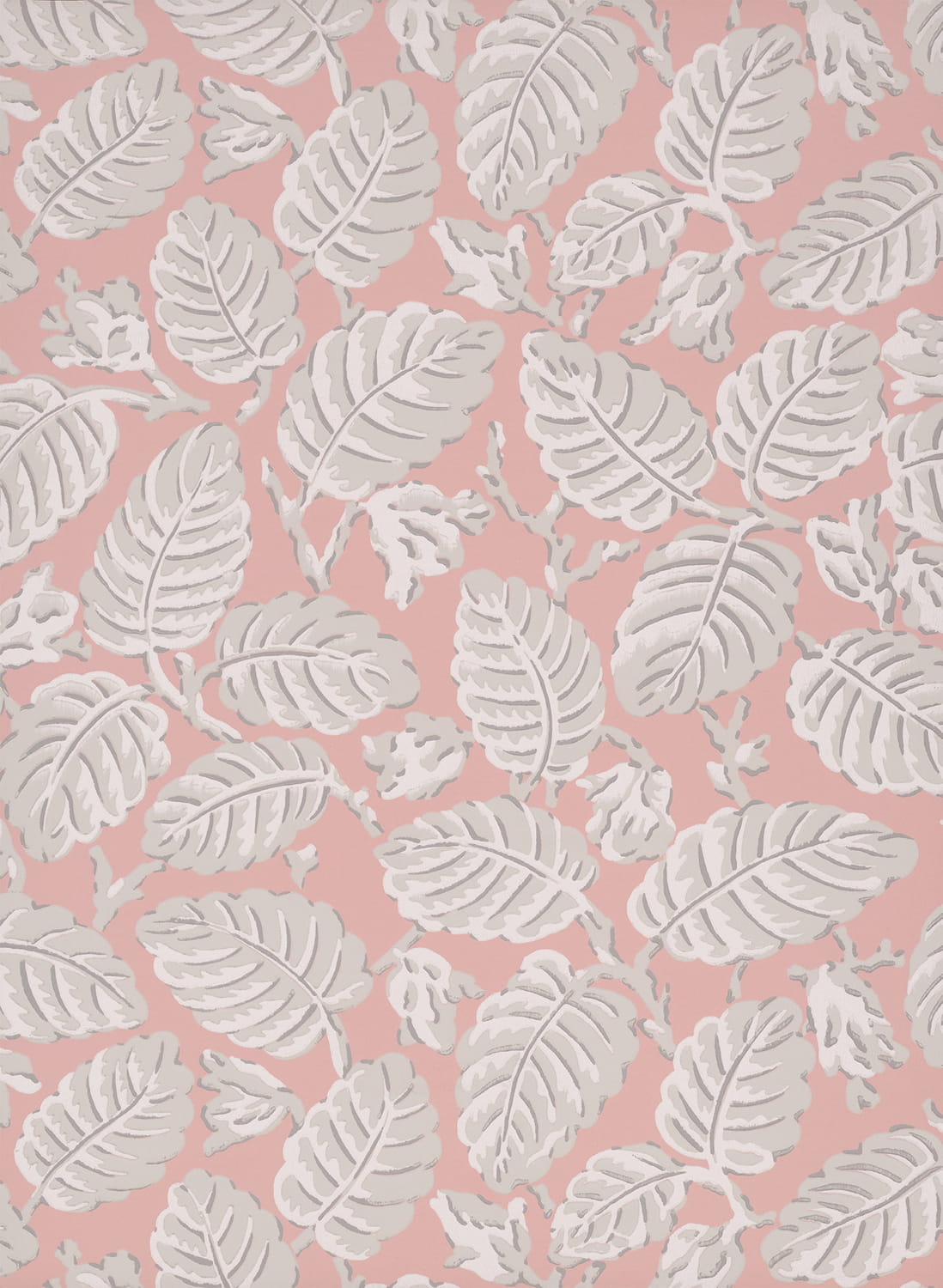 Tapete Beech Nut - Delicate