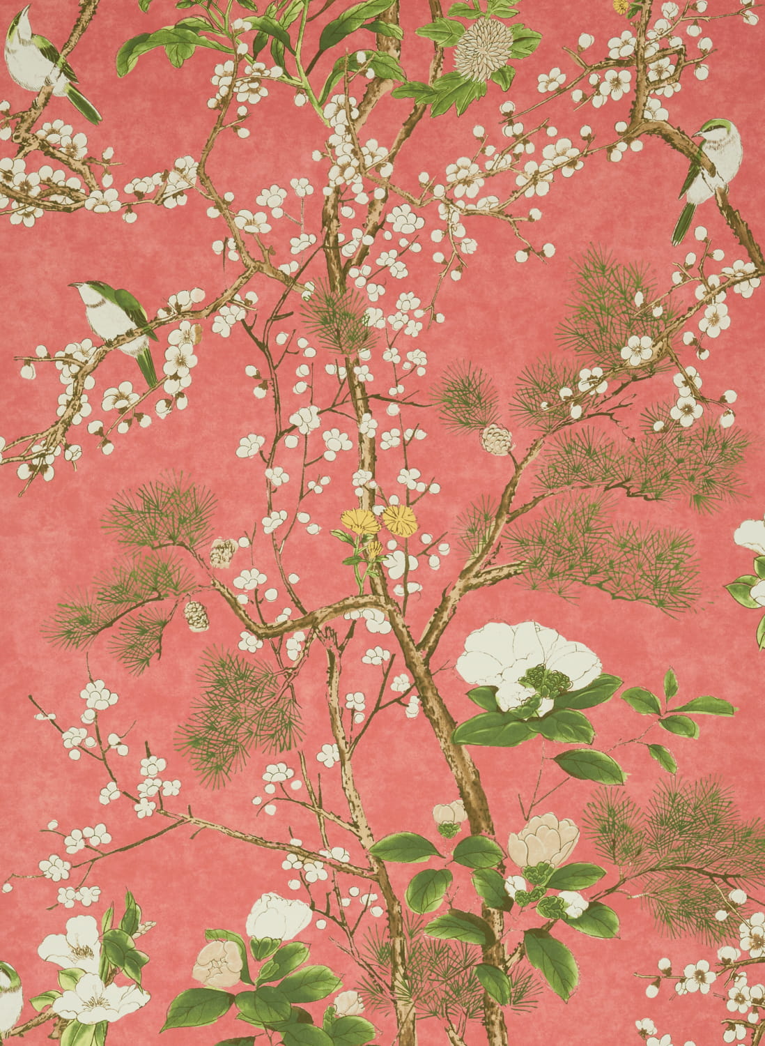 Wallpaper Katsura - Coral