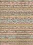 2341_12_rebel_walls_greenhouse_wall_garden_r13181-25051