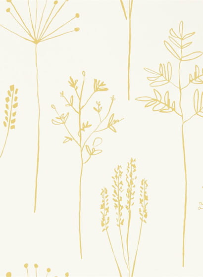 Tapete Stipa - Honey