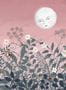 6682_2_Rebel-Walls_Pixie_R18192-81228