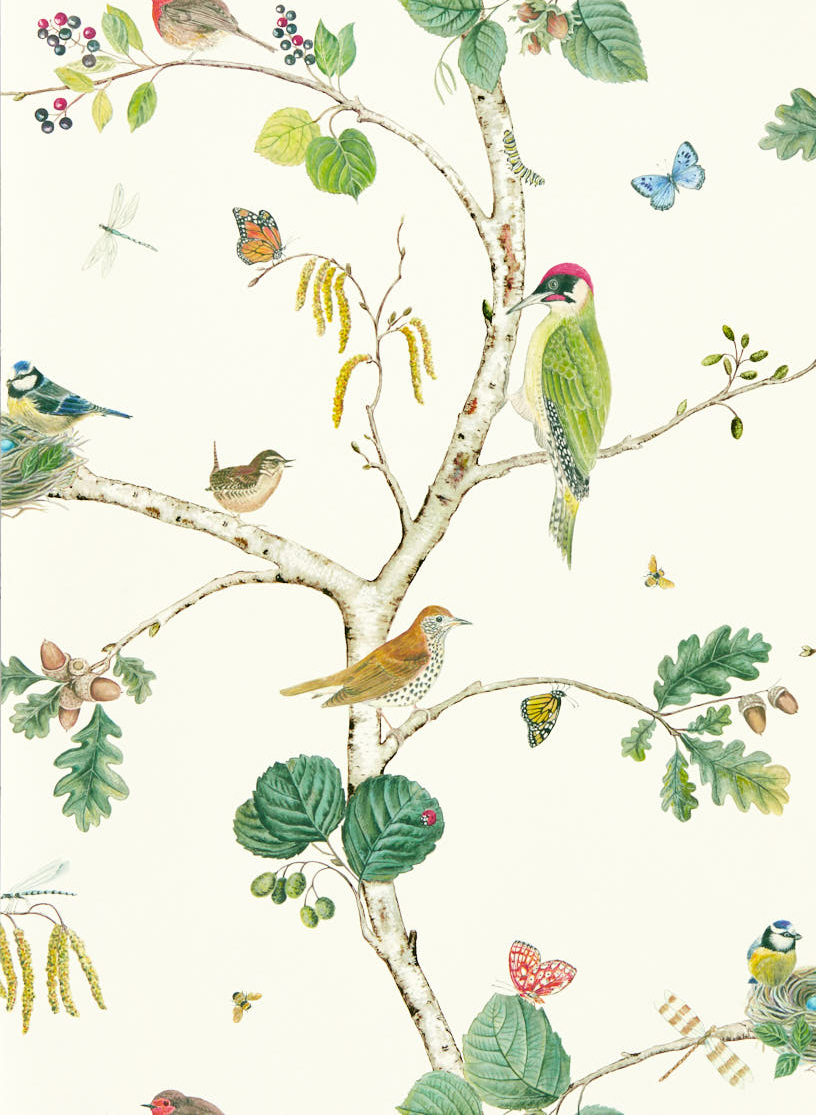 Tapete Woodland Chorus - Botanical/ Multi