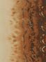 9517_1_Clarke_and_Clarke_Disperse_W0149-01-94608