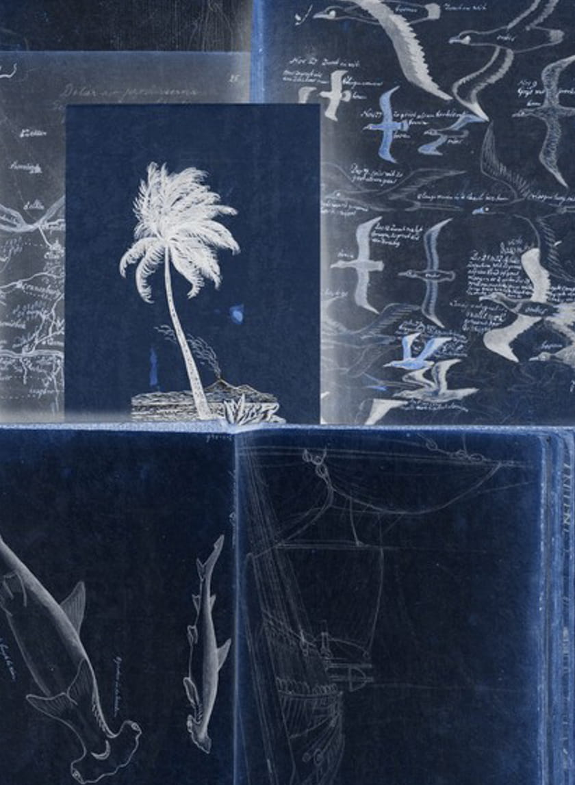 Wallpaper Seamans Journal - Black/ Indigo/ White