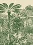 6800_2_Arte_Valle_de_Vinales_97711-85614