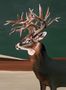 8509_2_Coordonne_Wandbild_Great_Dear_9500201-70104