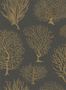 cole_son_seafern_2507_2_107_2006-25711