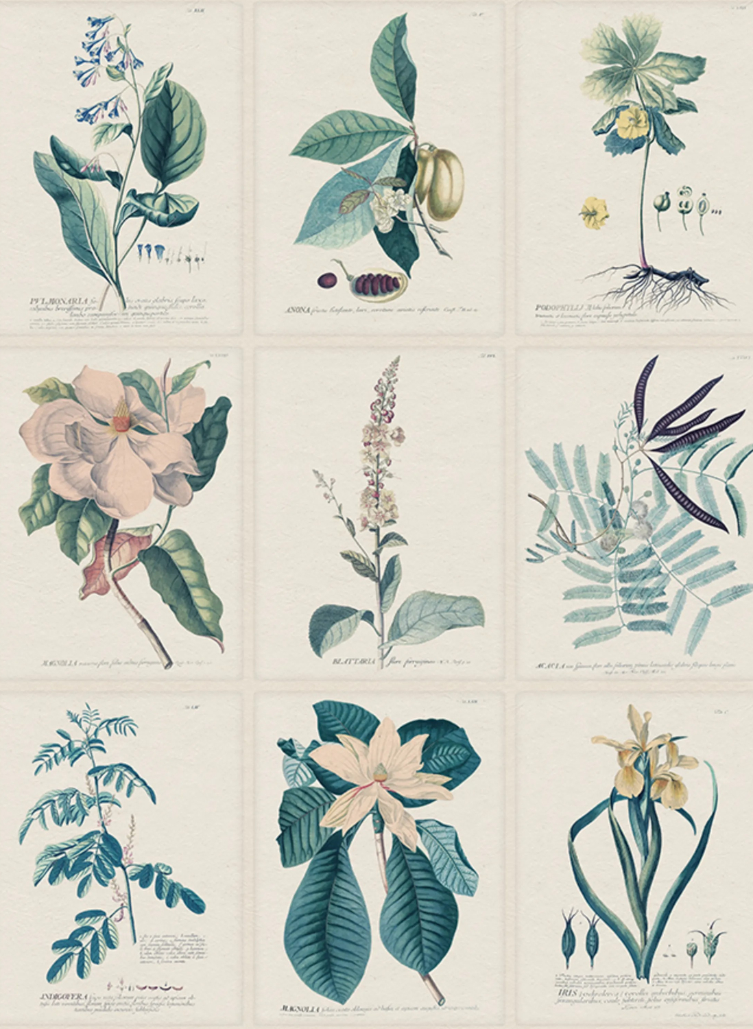 Wandbild Flora - Blue