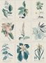 16377_01_Sandberg_Flora_S10589-158659