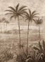 17037_4_Coordonné_Draa_Palms_B00455B-144448