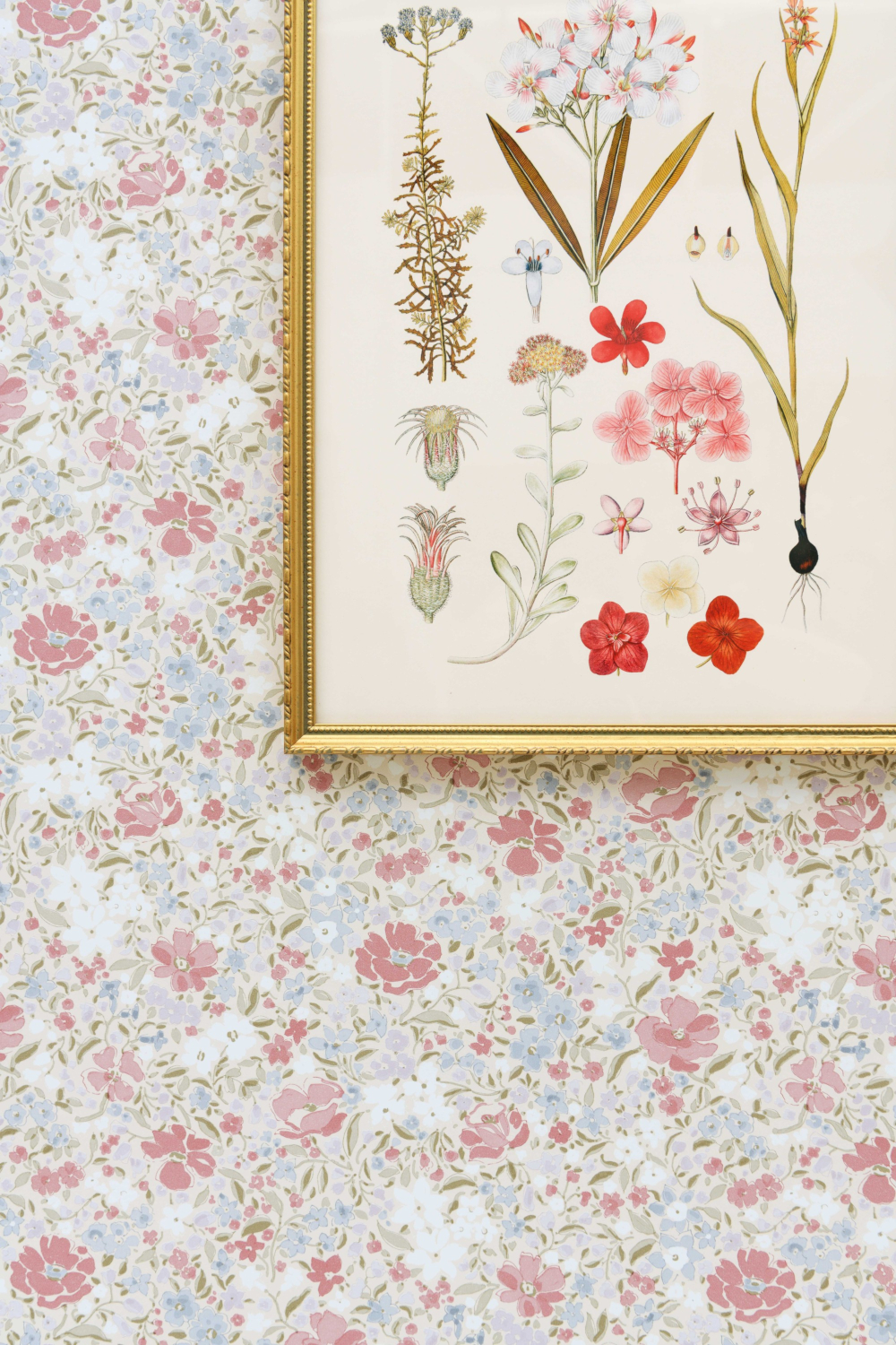 Tapete Fleurettes - Pompadour