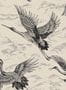 14694_1_Coordonne_Imperial_Ibis_B00132N-116831