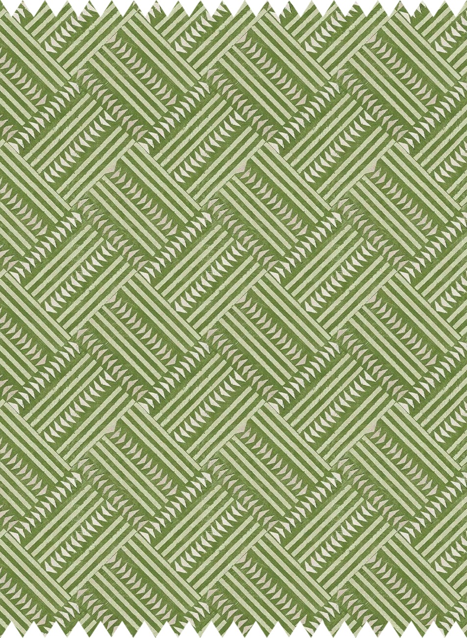  - Cactus