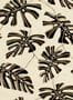 18137_01_Tres_Tintas_Monstera_BS5301-1-179533