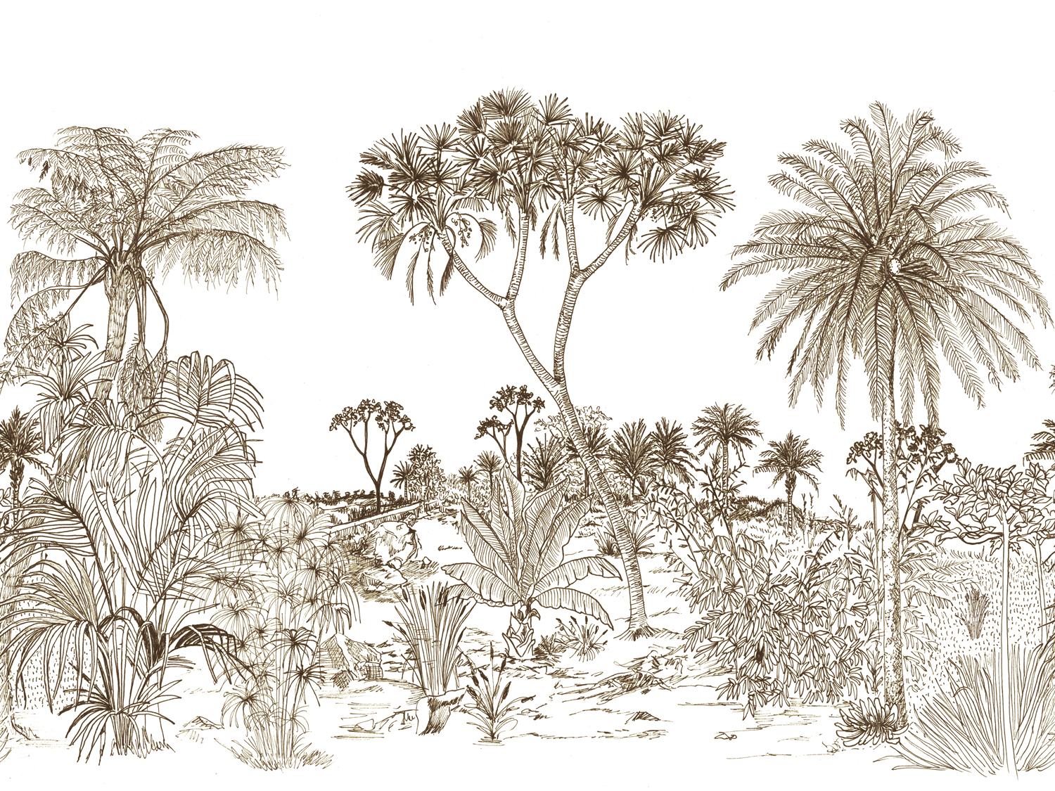 Wandbild Savane - Arizona