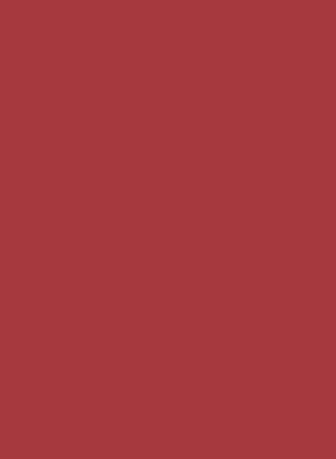 Intelligent All Surface Primer - Cape Red 279