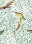 3107_2_nobilis_amazone_cos141-28295