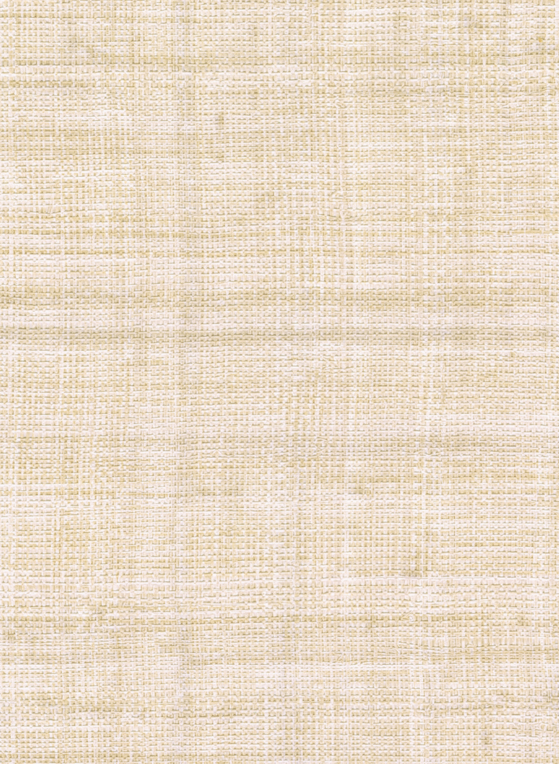 Tapete Abaca - VP 983 02