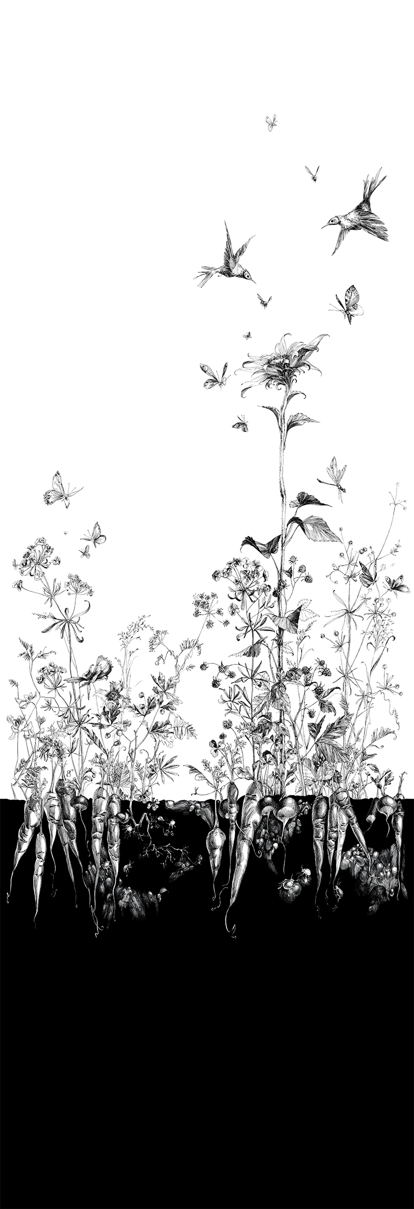 Tapete Lièvres/Fenouil/Tournesol - Blanc et Noi - Tournesol Droit - Blanc et Noir