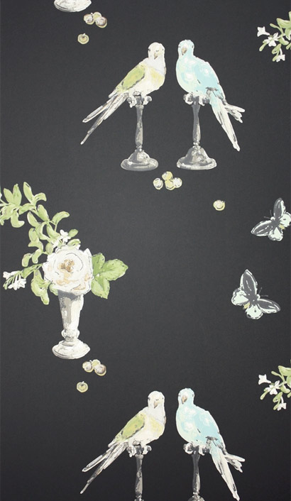 Tapete Perroquet - Black