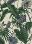 4180_1_House_of_Hackney_Paradisa_1-WA-PAR-DI-OFF-XXX-73121