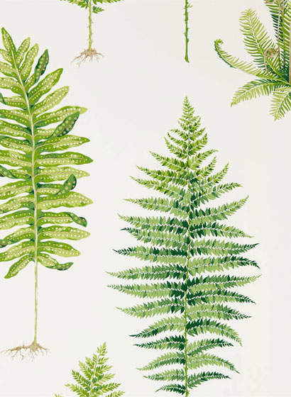 Tapete Fernery - Botanical Green