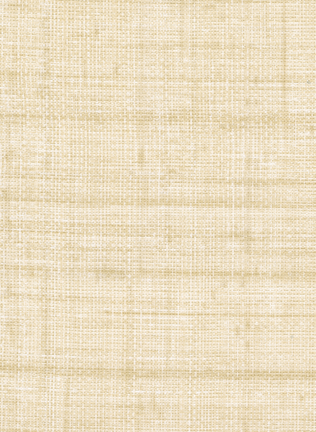 Tapete Abaca - VP 983 04