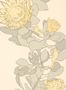4705_4_paintandpaper_tresco_protea_trail_clay_0393ptclayz-58273