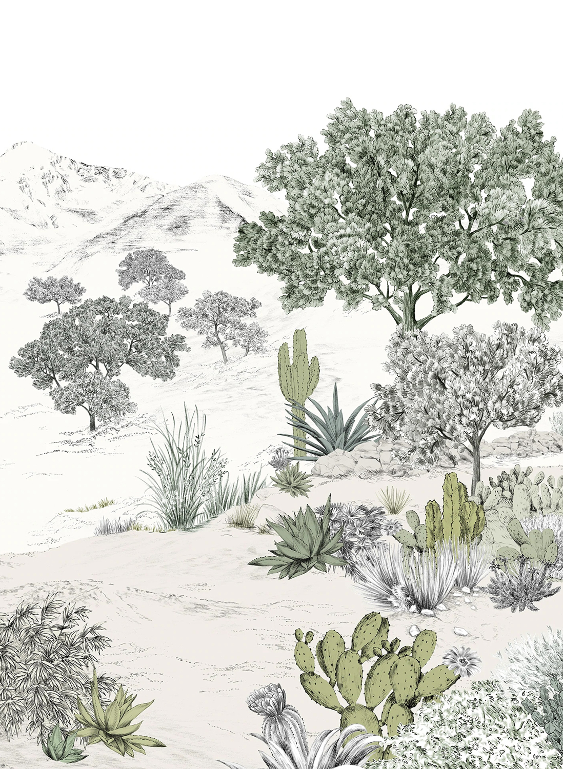 Wandbild Succulentes Naturel - Panel A