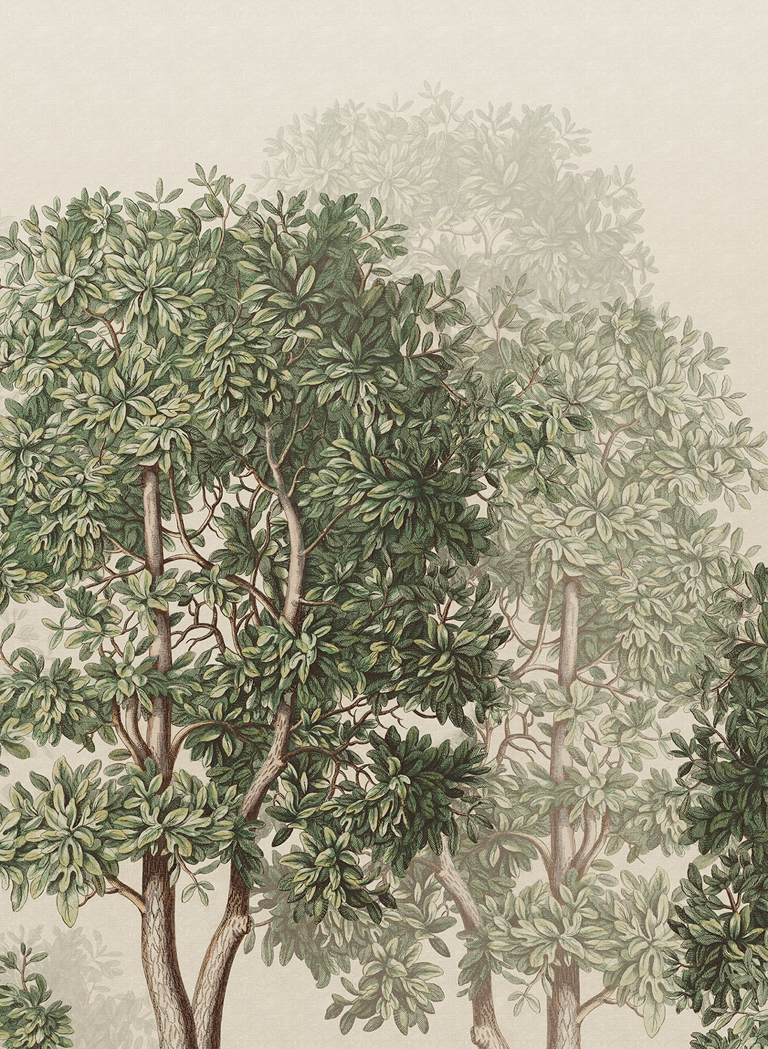 Wandbild Charles - green
