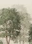 15337_01_Sandberg_Charles_S10637-170572