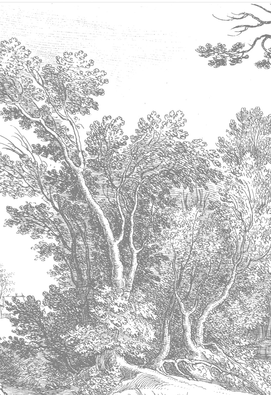 Wandbild Engraved Landscapes 3 - BW - Breite 1.948m