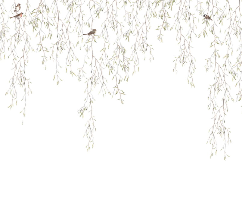Carta da parati panoramica Spring Birds - 9447W
