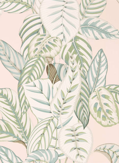 Tapete Calathea - Orchid/ Eucalyptus