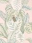 5171_1_sanderson_calathea_216632-54526