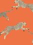 17061_01_Jannelli_&_Volpi_Leaping_Cheetah_26017-141777