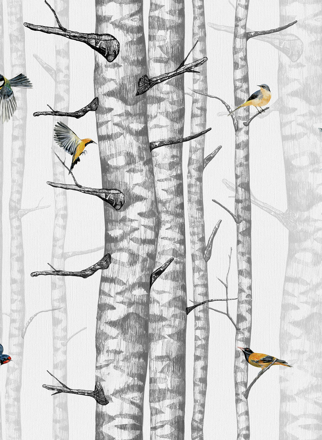Tapete Birch Trees - Grey