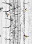 8506_1_Coordonne_Tapete_Birch_Trees_9500040-70041