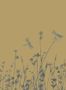 14749_1_Armani_Casa_Dickinson_9913-129779