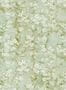 14849_19_Jannelli_and_Volpi_Momo_40191-132263