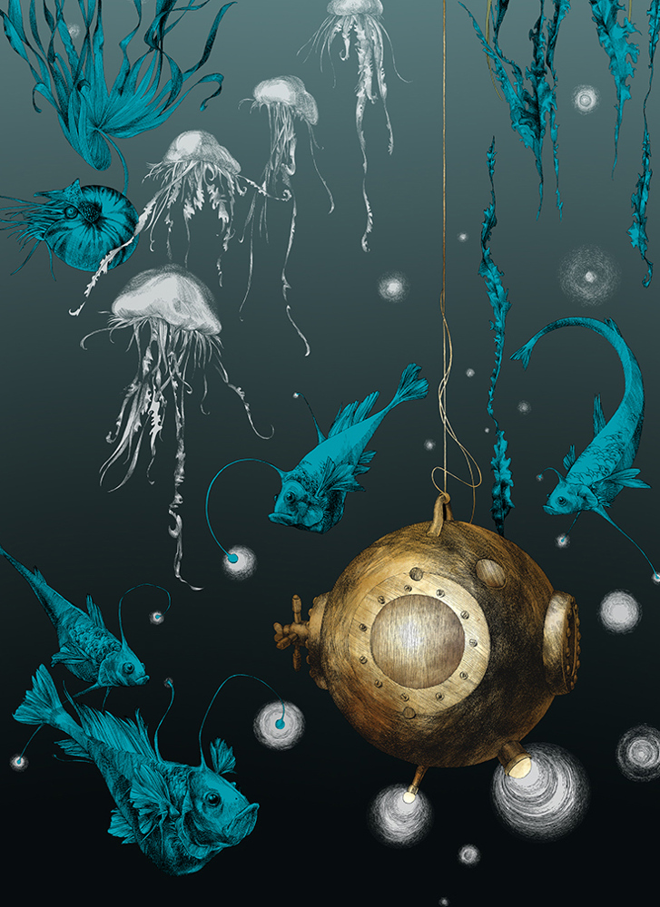 Tapete Nautilus/ Méduses/ Nénuphars - Noir - Nautilus droit - Noir