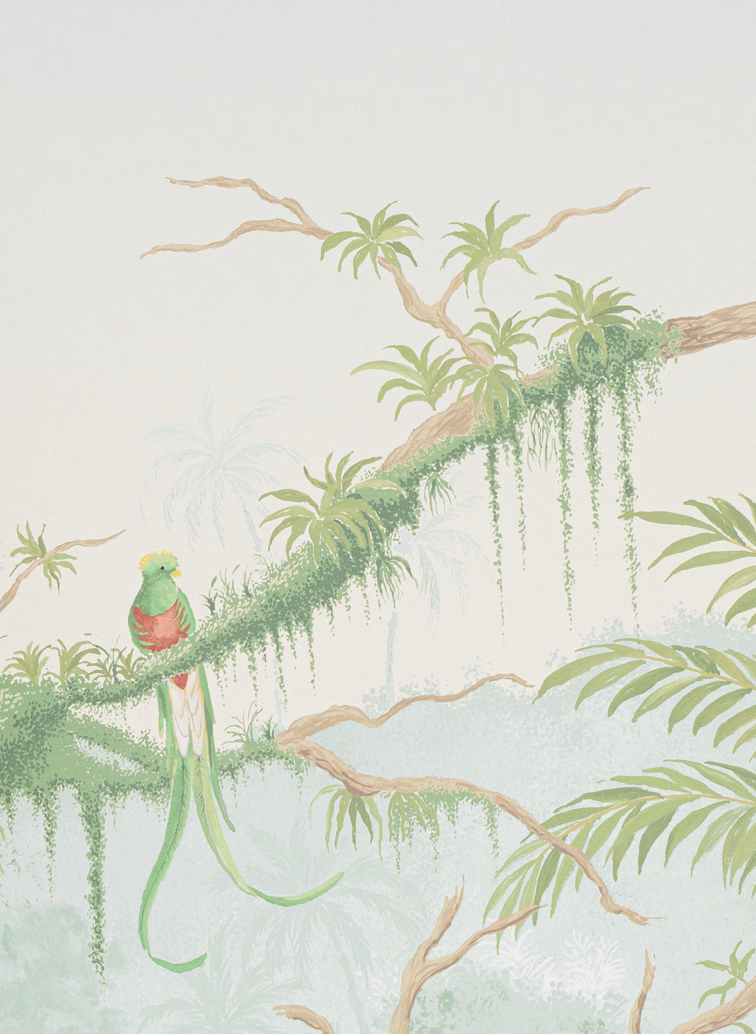 Wandbild Borneo - Printemps