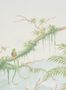 17998_01_Manuel_Canovas_Borneo_03126-01-177713