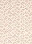 17569_02_Sanderson_Tomato_Leaf_DSAB217420-154143