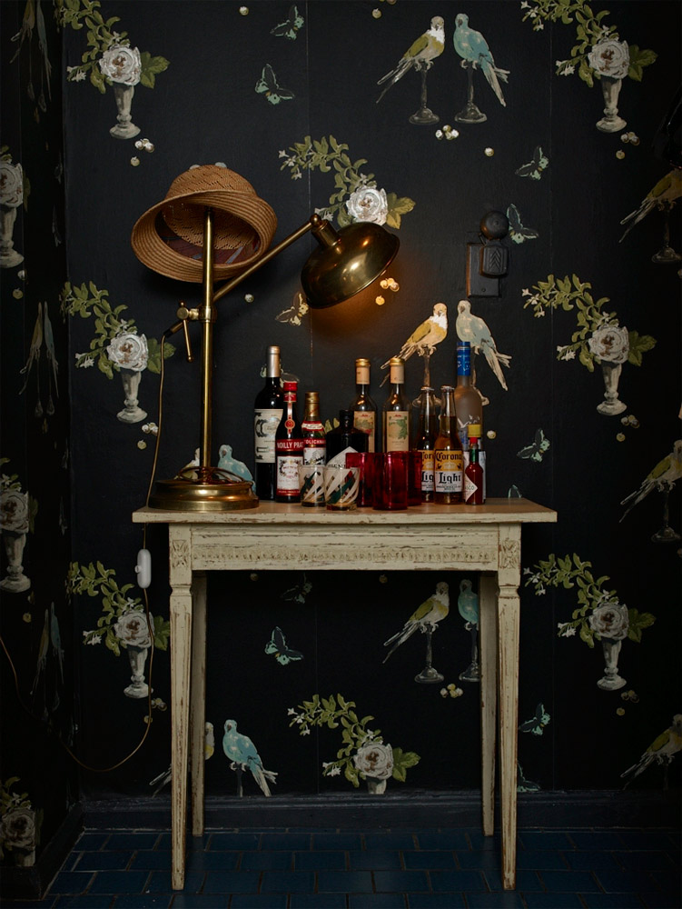 Wallpaper Perroquet - Black